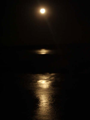 iguazu-falls-moonlight.jpg